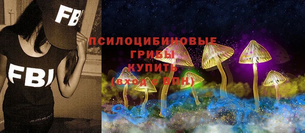 тгк Алзамай
